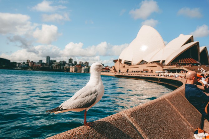 How to do Sydney on a Budget
